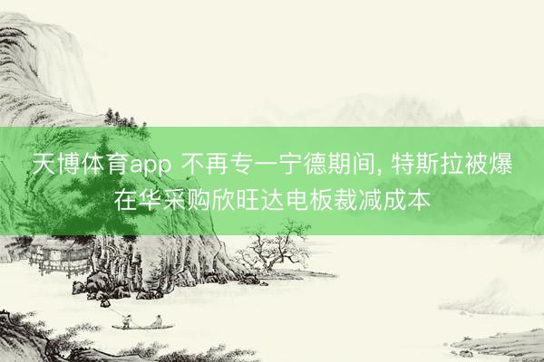 天博体育app 不再专一宁德期间, 特斯拉被爆在华采购欣旺达电板裁减成本