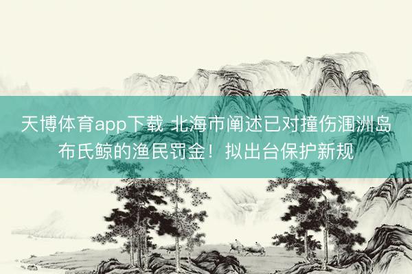 天博体育app下载 北海市阐述已对撞伤涠洲岛布氏鲸的渔民罚金！拟出台保护新规