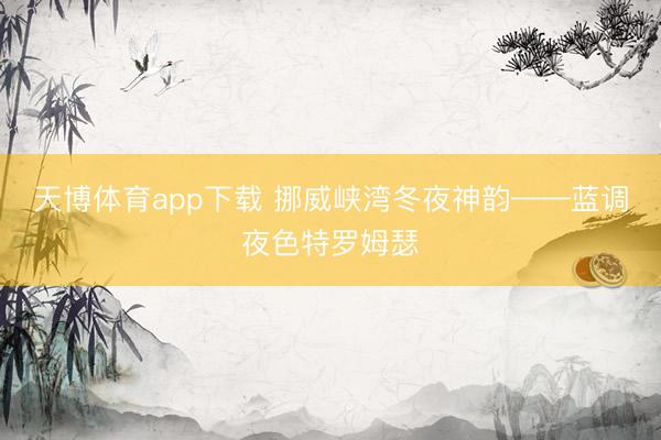 天博体育app下载 挪威峡湾冬夜神韵——蓝调夜色特罗姆瑟